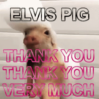 Elvis Presley Pig Thank You Very Much GIF