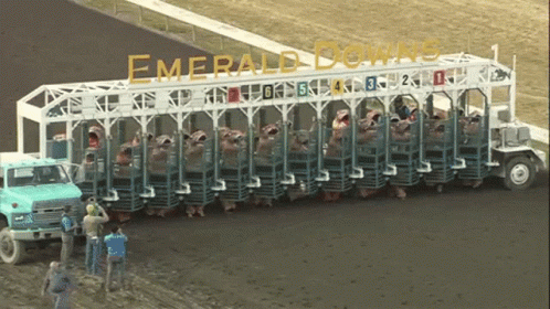 Emerald Downs Is Written On The Side Of A Large Truck GIF
