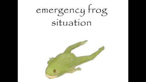 Emergency Frog Situation Poster With Green Frog