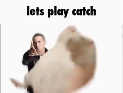 Eminem Lets Play Catch Rat Meme GIF