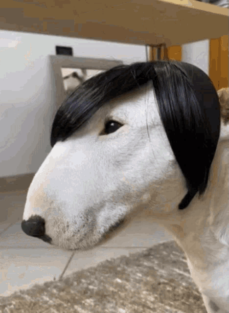 Emo Bull Terrier Dog GIF