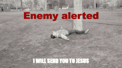 Emotional Damage Enemy Alerted GIF