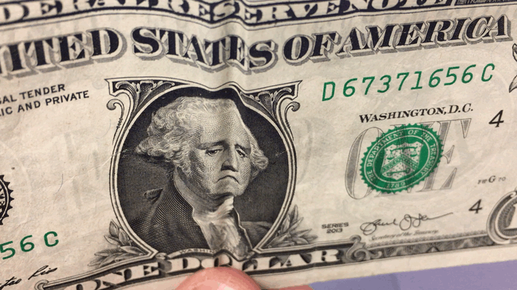 Emotional Dollar Bill Portrait GIF
