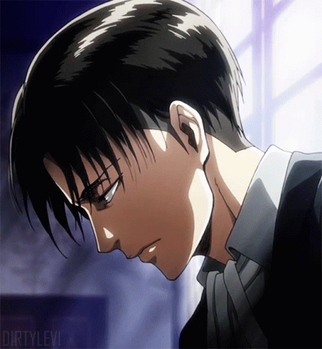 Emotional Soldier Levi Ackerman GIF