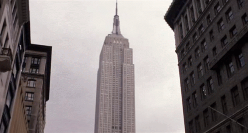 Empire State Building Surrounded by Tall Buildings