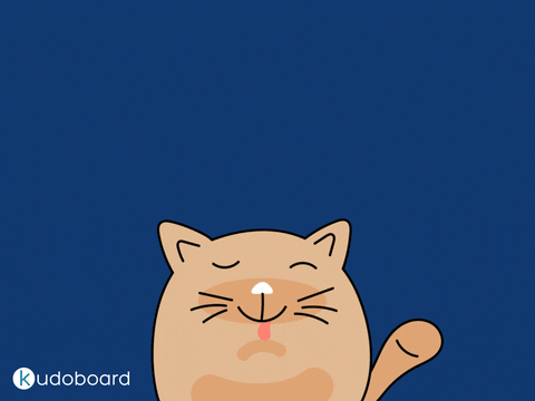 Employee Appreciation Day Thank You With Cat GIF