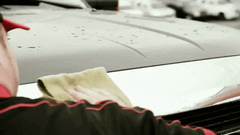 Employee Wax On Wax Off The Display Car GIF