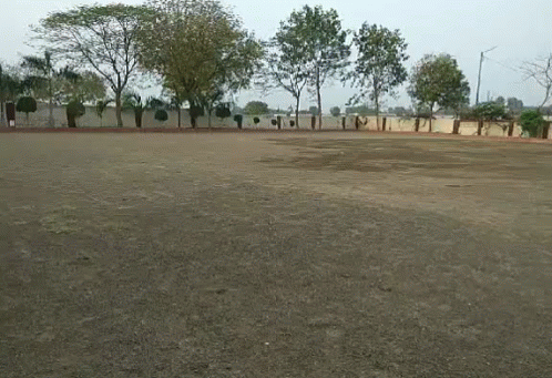 Empty Field with Trees and Fence