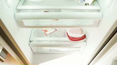 Empty Food In The Fridge GIF