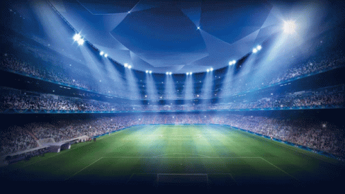 Empty Soccer Stadium with Lights