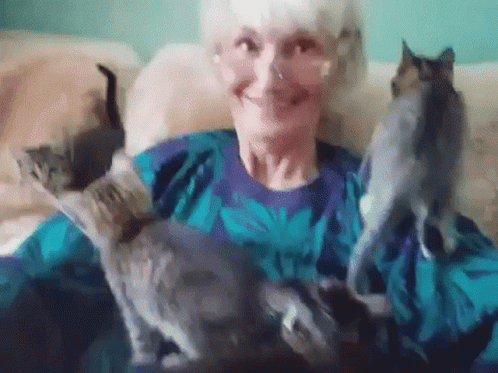 Waving Old Cat Lady GIF