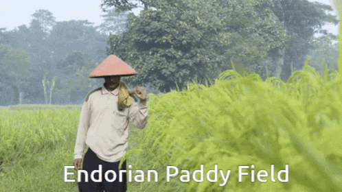Endorian Paddy Field Man