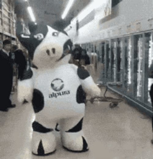 Energetic And Big Cow Mascot Dancing GIF