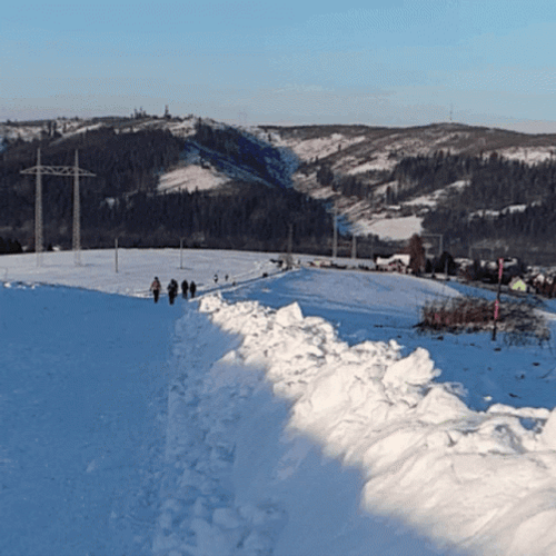 Energetic Border Collie Jumping On Snow GIF