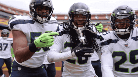 Energetic Happy Seattle Seahawks GIF