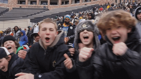Energized Buffs Fans Cheering GIF