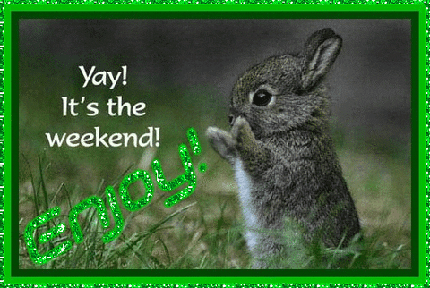 Enjoy Rabbit It's The Weekend GIF
