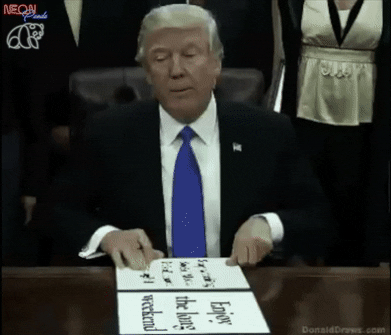 Enjoy The Weekend Donald Trump Meme GIF