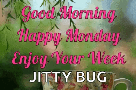 Enjoy Your Week And Have Positive Monday GIF