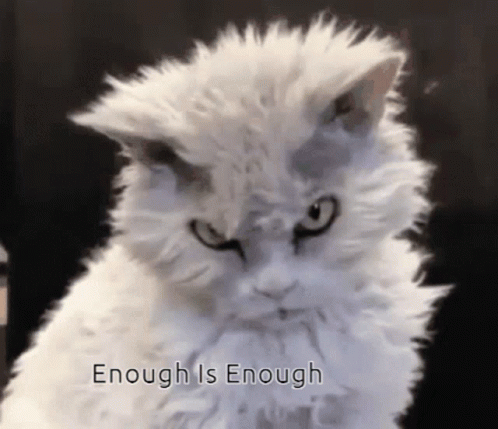 Enough Angry Cat GIF