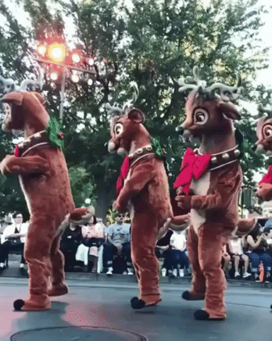 Entertaining Dancing Reindeer Lining GIF