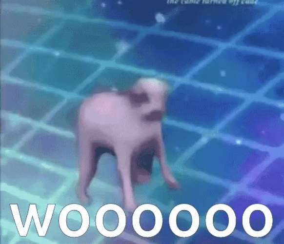 Entertaining Dog Dancing Woooo GIF