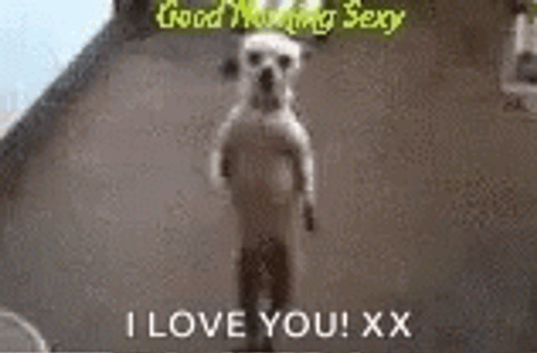 Entertaining Fog Dancing Funny I Love You GIF