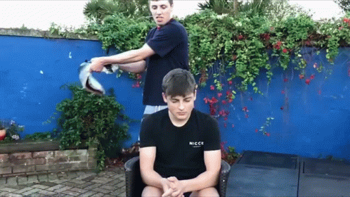 Entertaining Powerful Fish Smack GIF