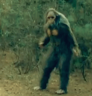Entertaining Sasquatch Funny Dance GIF