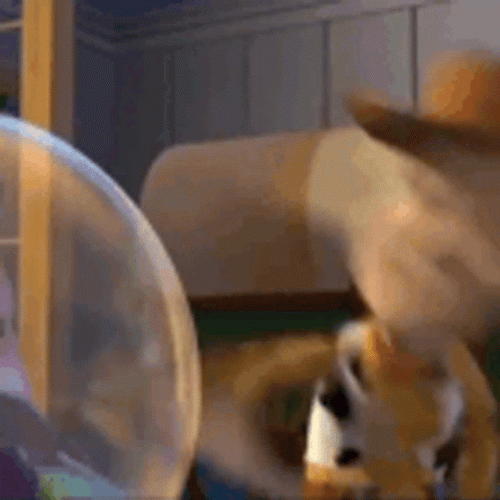 Entertaining Woody Laughing Hard GIF
