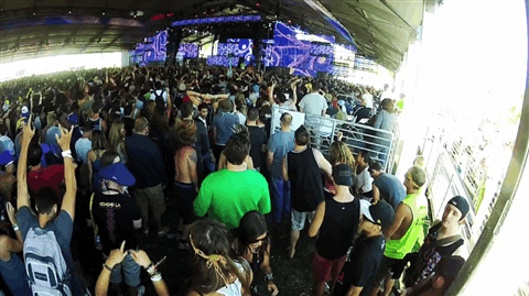 Enthusiastic Audience At Coachella GIF