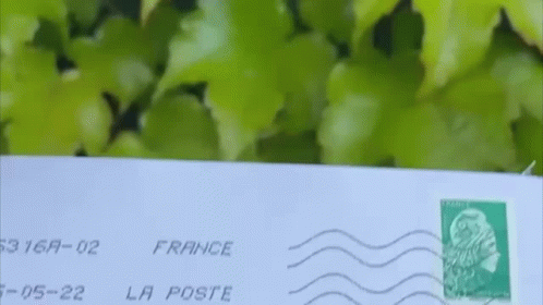 Envelope From France With Stamp