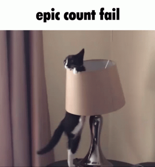 Epic Cat Count Fail GIF