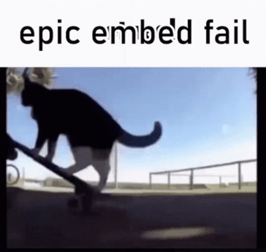 Epic Cat Embed Fail GIF