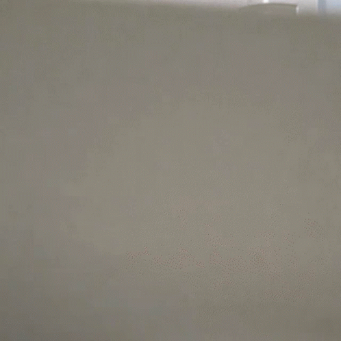 Epic Cat Suspense Scary Look GIF