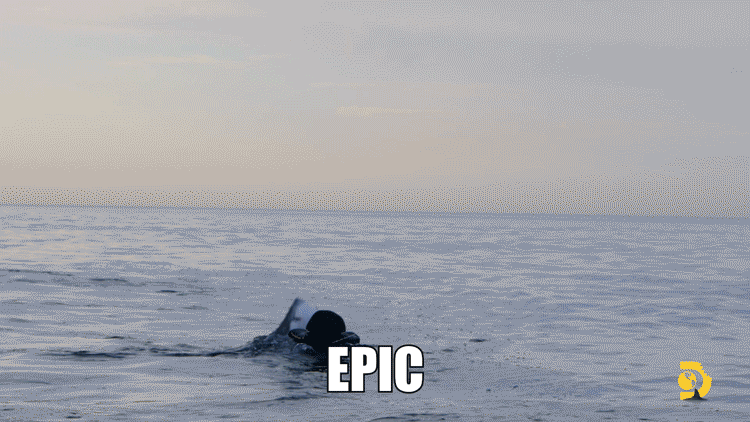 Epic Shark Jump Twirl Ocean GIF