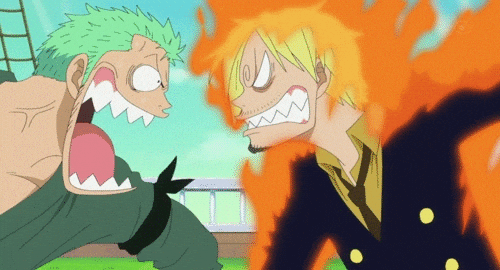 Epic Zoro Fight With Sanji GIF