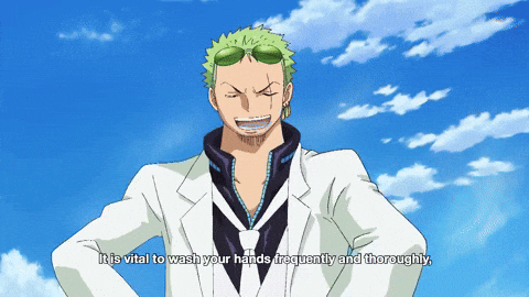 Epic Zoro Giving Reminders GIF