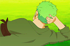 Epic Zoro Having A Break GIF