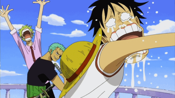 Epic Zoro Makes Luffy Cry GIF