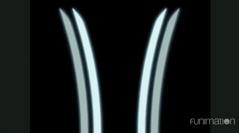 Epic Zoro On Attack GIF