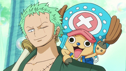 Epic Zoro With Chopper GIF