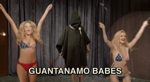 Eric Andre Let Me In Guantanamo Babes GIF