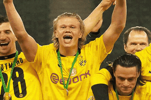 Erling Haaland Celebration GIF