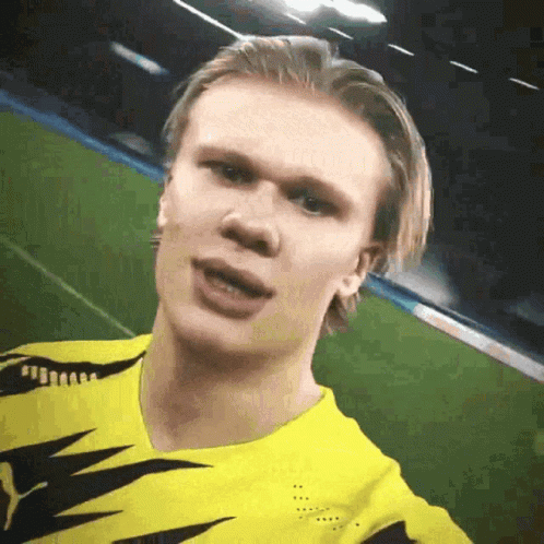 Erling Haaland Sancho GIF