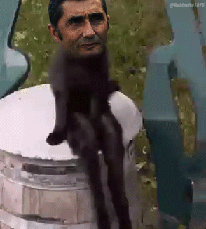 Ernesto Valverde Sitting Cat GIF