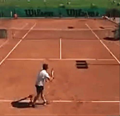 Ernests Gulbis Racquet Throw GIF