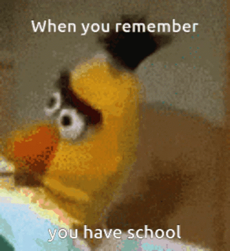 Ernie From Sesame Street Remembering School