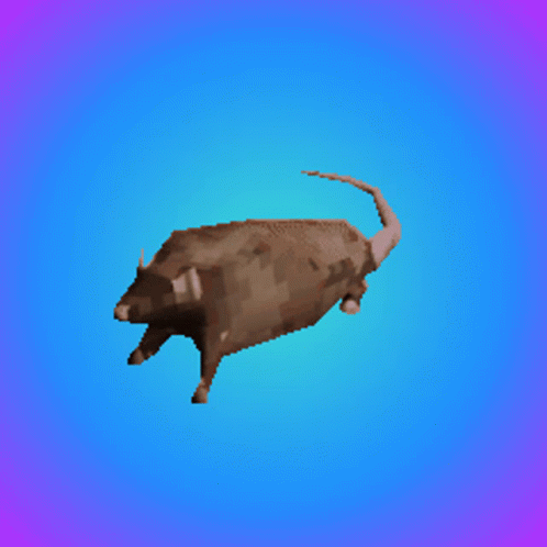 Erratically Spinning Rat Leaving Trail GIF