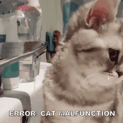 Error Cat Malfunction Tounge Sticking Out GIF